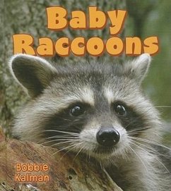 Baby Raccoons - Kalman, Bobbie