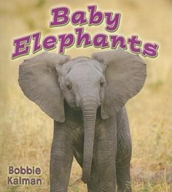 Baby Elephants - Kalman, Bobbie
