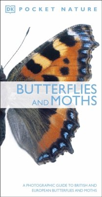 Butterflies and Moths - DK
