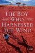 The Boy Who Harnessed the Wind - Bild 1