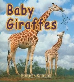 Baby Giraffes - Kalman, Bobbie