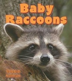 Baby Raccoons - Kalman, Bobbie