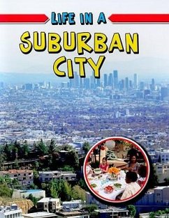 Life in a Suburban City - Flatt, Lizann