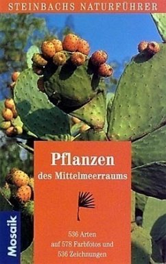 Pflanzen des Mittelmeerraums