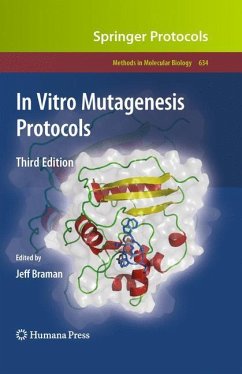 In Vitro Mutagenesis Protocols - Braman, Jeff (Hrsg.)