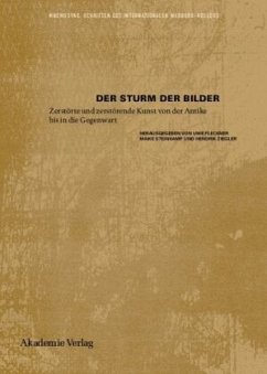 Der Sturm der Bilder - Fleckner, Uwe / Steinkamp, Maike / Ziegler, Hendrik (Hrsg.)