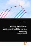 Lifting Structures: A Geometrical-Dynamical Meaning