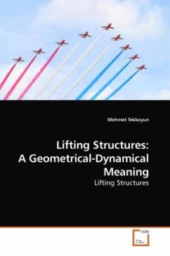 Lifting Structures: A Geometrical-Dynamical Meaning - Tekkoyun, Mehmet