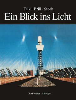 Ein Blick ins Licht - Falk, David S.;Brill, Dieter R.;Stork, David G.