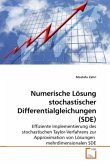 Numerische Lösung stochastischer Differentialgleichungen (SDE)