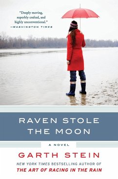 Raven Stole the Moon - Stein, Garth