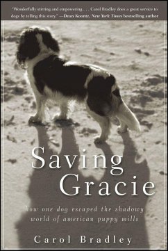 Saving Gracie - Bradley, Carol