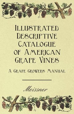 Illustrated Descriptive Catalogue of American Grape Vines - A Grape Growers Manual - Meissner; Serviss, Garrett Putman