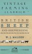 British Sheep And Shepherding - Bild 1