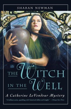 The Witch in the Well - Newman, Sharan