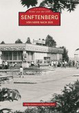 Senftenberg