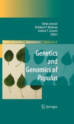 Genetics and Genomics of Populus - Jansson, Stefan / Bhalerao, Rishikesh / Groover, Andrew (Hrsg.)