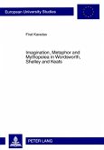 Imagination, Metaphor and Mythopeiea in Wordsworth, Shelley and Keats