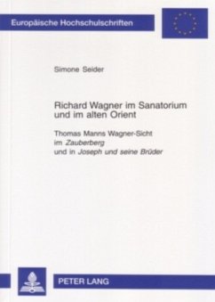 Richard Wagner im Sanatorium und im alten Orient - Seider, Simone