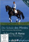 Die Schule des Pferdes, 1 DVD. Tl.5