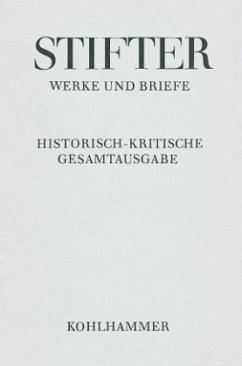 Cover Bunte Steine / Werke und Briefe 2,3