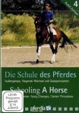Die Schule des Pferdes, 1 DVD. Tl.4
