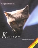 Katzen sind eben anders