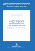 Die Privatisierung und Regulierung des Wassersektors