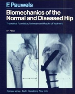 Biomechanics of the Normal and Diseased Hip