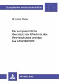 Der europarechtliche Grundsatz der Effektivität des Rechtsschutzes und das EG-Sekundärrecht