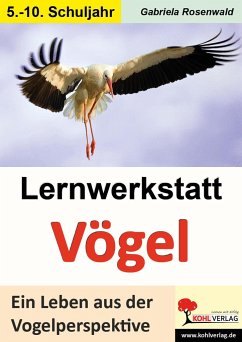 Lernwerkstatt Vögel Ein Leben aus der Vogelperspektive - Rosenwald, Gabriela