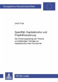 Spezifität, Kapitalstruktur und Projektfinanzierung