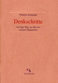 Denkschritte, m. 1 CD-Audio - Schmundt, Wilhelm