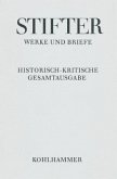 Der Nachsommer / Werke und Briefe Bd.4/2, Bd.2