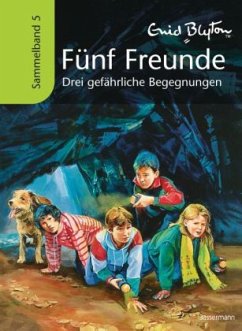 Drei gefährliche Begegnungen / Fünf Freunde Sammelbände Bd.5 - Blyton, Enid