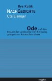 Ode auf den Besuch der Landzunge von Belosaraj, gelegen am Asowschen Meere