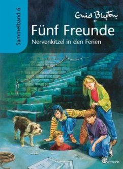 Nervenkitzel in den Ferien / Fünf Freunde Sammelbände Bd.6 - Blyton, Enid