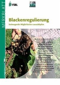 Blackenregulierung - Dierauer, Hansueli; Hermle, Martin; Lüscher, Andreas; Schaller, Alfred; Thalmann, Hans