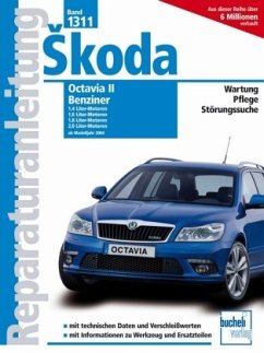 Skoda Octavia II Benziner / Modelljahr 2004; .