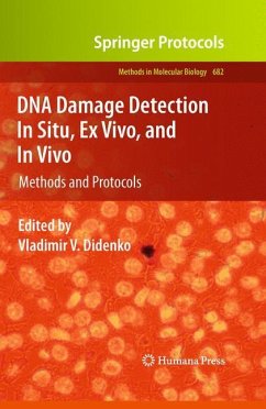 DNA Damage Detection In Situ, Ex Vivo, and In Vivo - Didenko, Vladimir V. (Hrsg.)