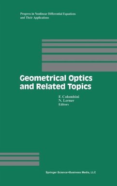 Geometrical Optics and Related Topics - Colombini, Ferruccio / Lerner, Nicolas (Hgg.)