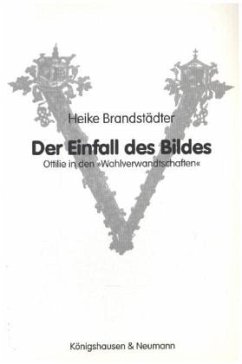 Cover Der Einfall des Bildes