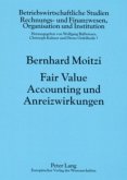 Fair Value Accounting und Anreizwirkungen