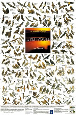 Cover Greifvögel aus Europa