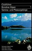 Taminagebirge und Plessurgebirge / Bündner Alpen 1