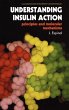 Understanding Insulin Action - Bild 1