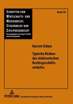 Cover Typische Risiken des elektronischen Rechtsgeschäftsverkehrs