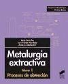 Metalurgia extractiva. Vol. II: Procesos de obtenciÃ³n