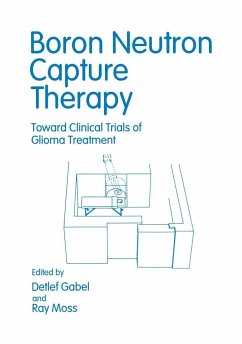 Boron Neutron Capture Therapy - Alberts, Renate (ed.)