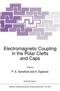 Electromagnetic Coupling in the Polar Clefts and Caps - Sandholt, Per Even (ed.) / Egeland, A.